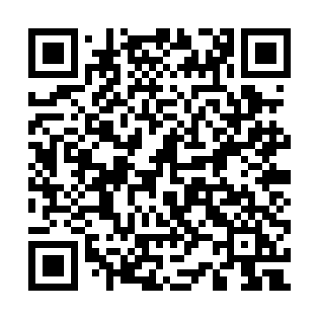 QR code for 520PDI