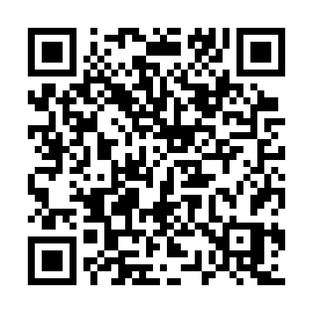 QR code for 533CVS