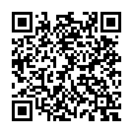 QR code for 533DSY