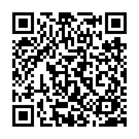 QR code for 533FWO