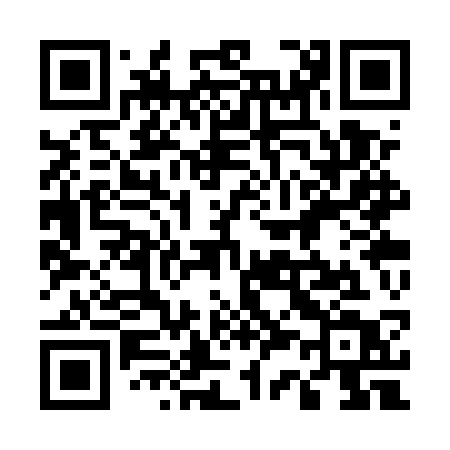 QR code for 533UST
