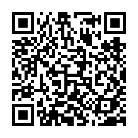 QR code for 533VII