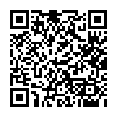 QR code for 536PES