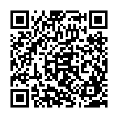 QR code for 538BIF