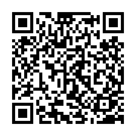 QR code for 538DPP