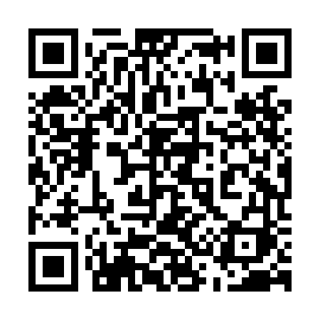 QR code for 538LFI