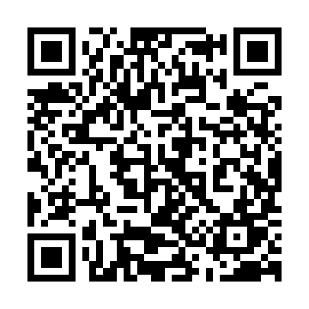 QR code for 538YYT