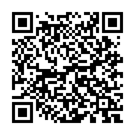 QR code for 541BOC