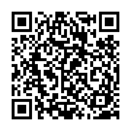 QR code for 541DFO