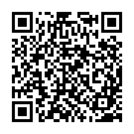 QR code for 541QLL