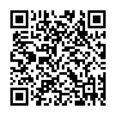 QR code for 541QLM