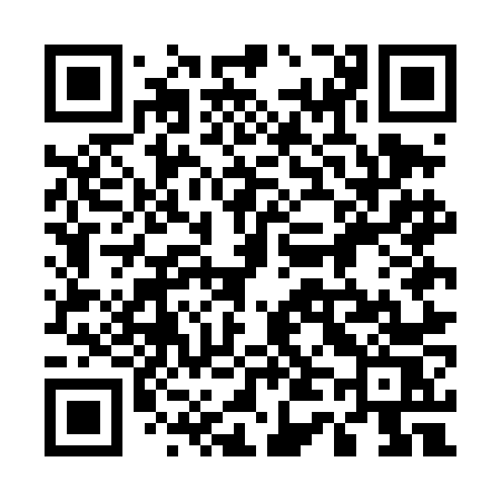 QR code for 545DNS