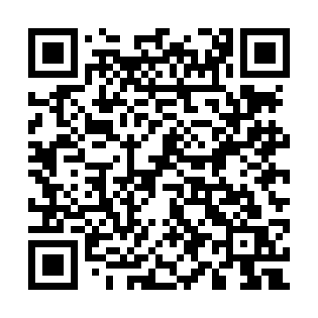QR code for 595LCS