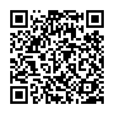 QR code for 596DKI