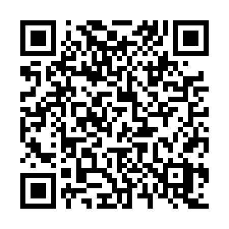 QR code for 603DFX