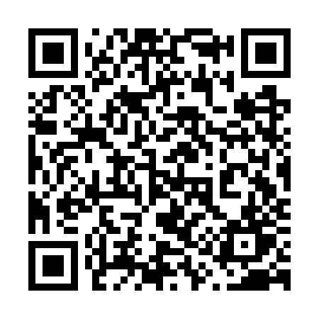 QR code for 613GZT