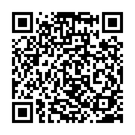 QR code for 629API