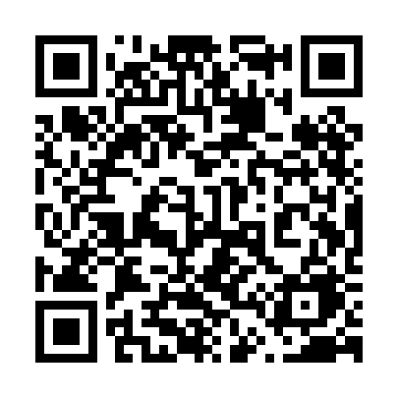QR code for 641PBE