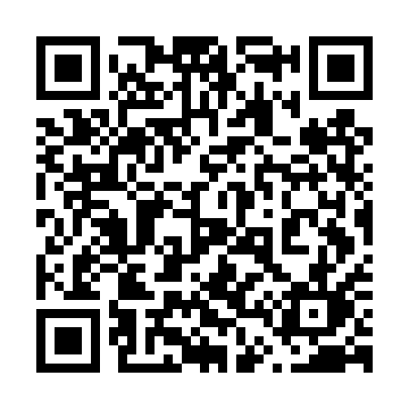 QR code for 647DQL