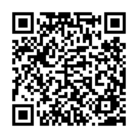 QR code for 650DGG