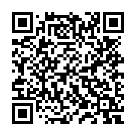 QR code for 650NYT