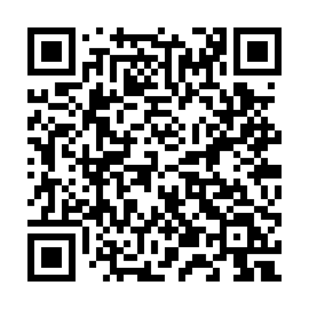 QR code for 653PPL