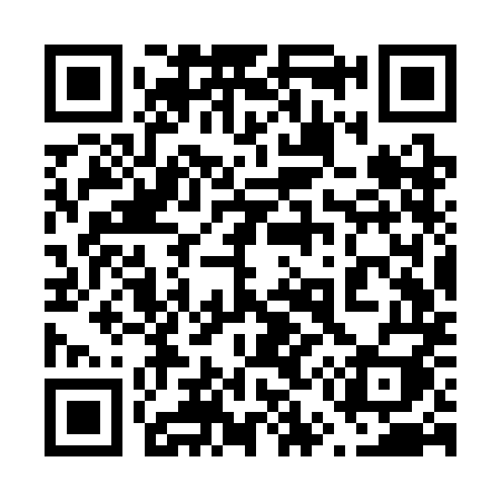 QR code for 653SMI
