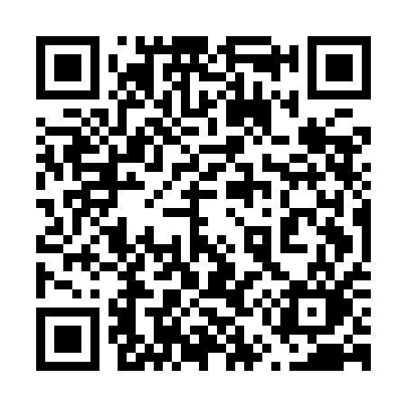 QR code for 655IAO