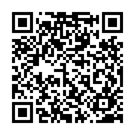 QR code for 655LAN