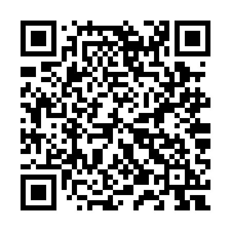 QR code for 656PAI