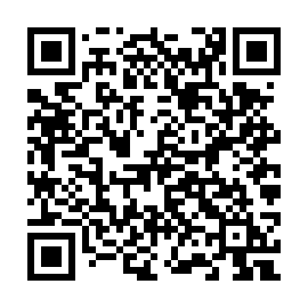 QR code for 666DSI