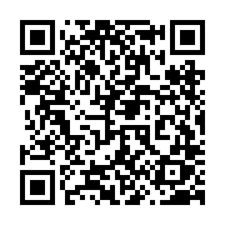 QR code for 667BLX