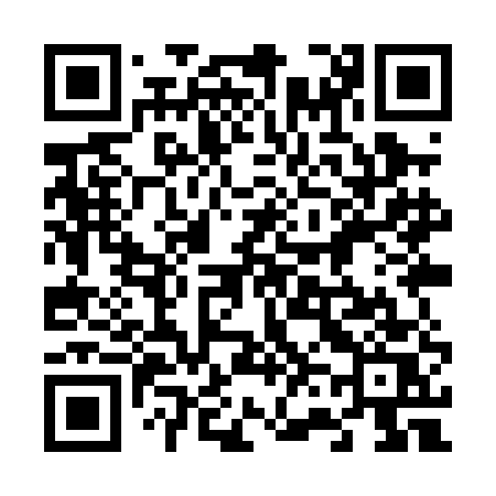 QR code for 669PES