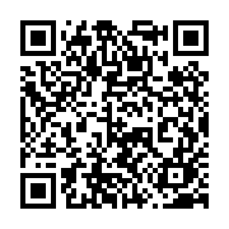 QR code for 677PUL