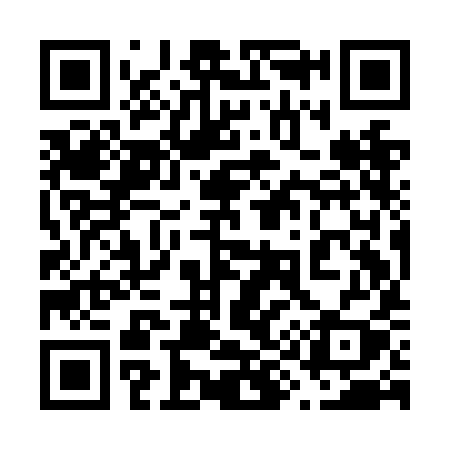 QR code for 699NIY