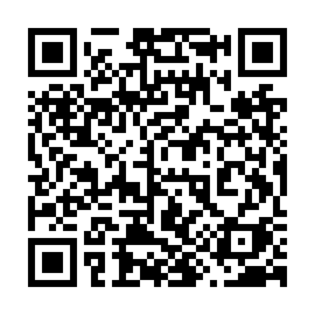 QR code for 699NSI