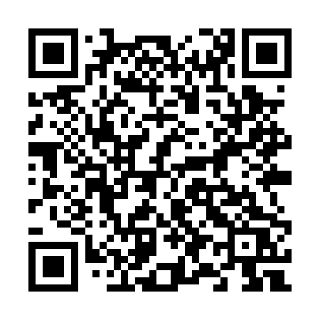 QR code for 699PPS