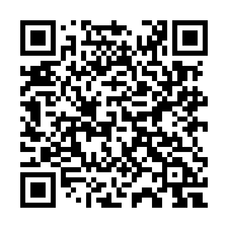 QR code for 729MED