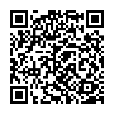 QR code for 737ARX
