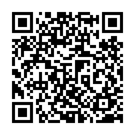 QR code for 737DIT