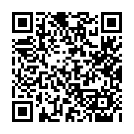QR code for 738TMO