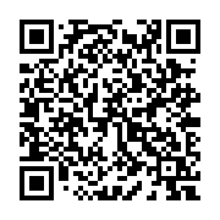 QR code for 810PIS