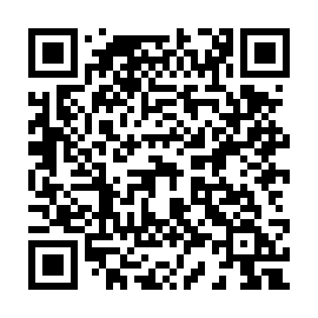 QR code for 838DSF