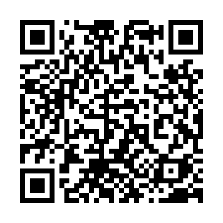 QR code for 838LSI