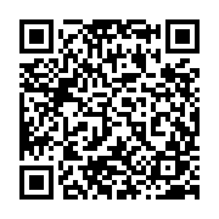 QR code for 838MIR