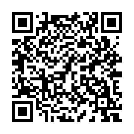 QR code for 838SYO