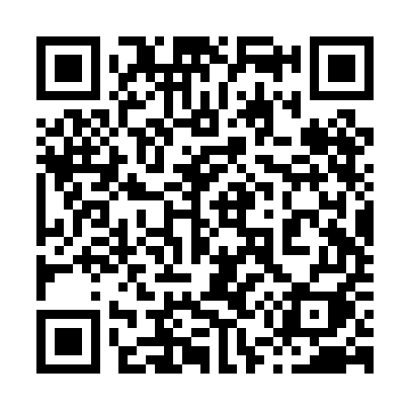 QR code for 852PEI