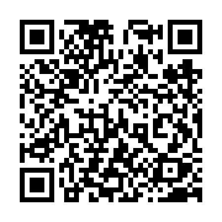 QR code for 869FSX
