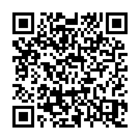QR code for 869IPS