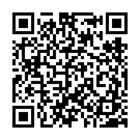 QR code for 905FFS